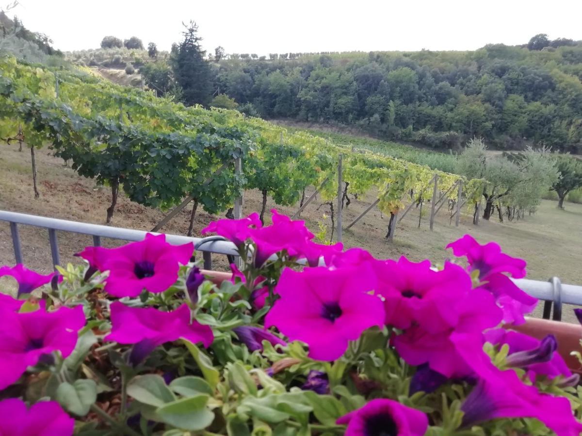 Poggio Massiccioli Διαμέρισμα Poggibonsi Εξωτερικό φωτογραφία