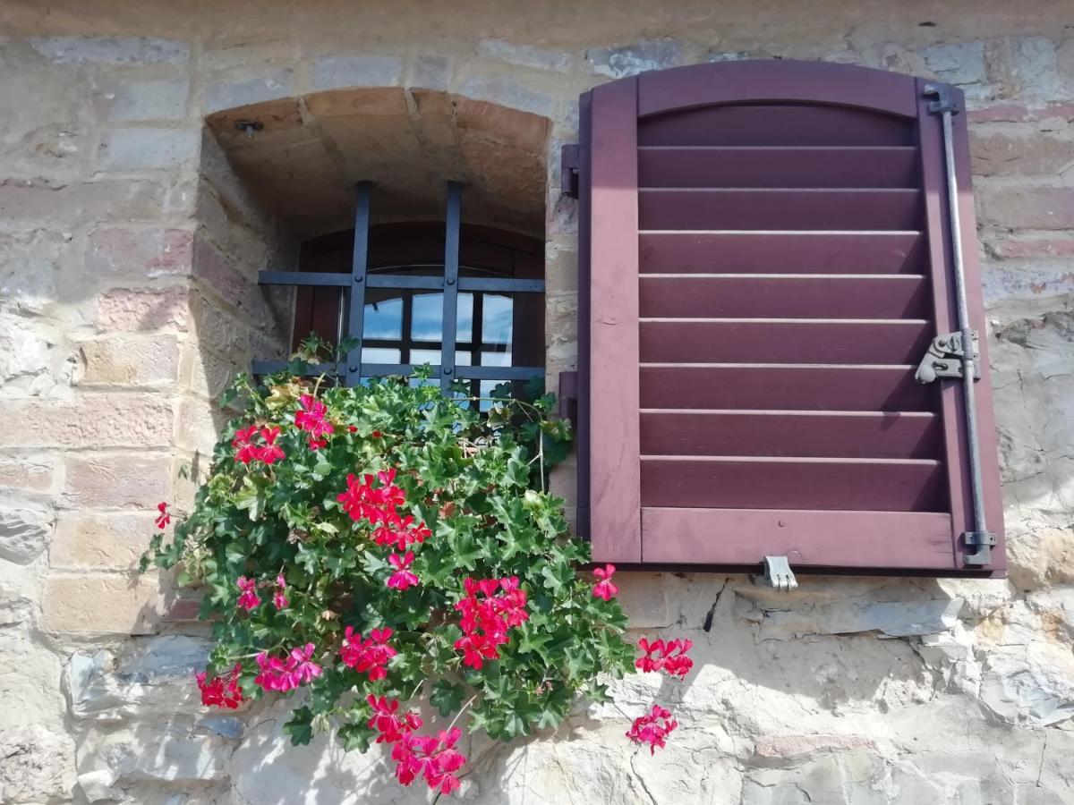Poggio Massiccioli Διαμέρισμα Poggibonsi Εξωτερικό φωτογραφία